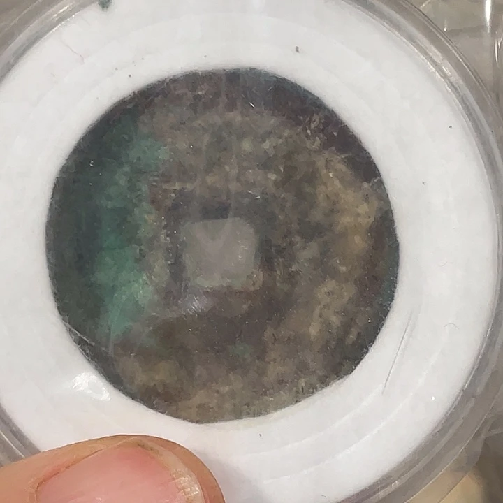 和田玉杂项未镶嵌七***哥