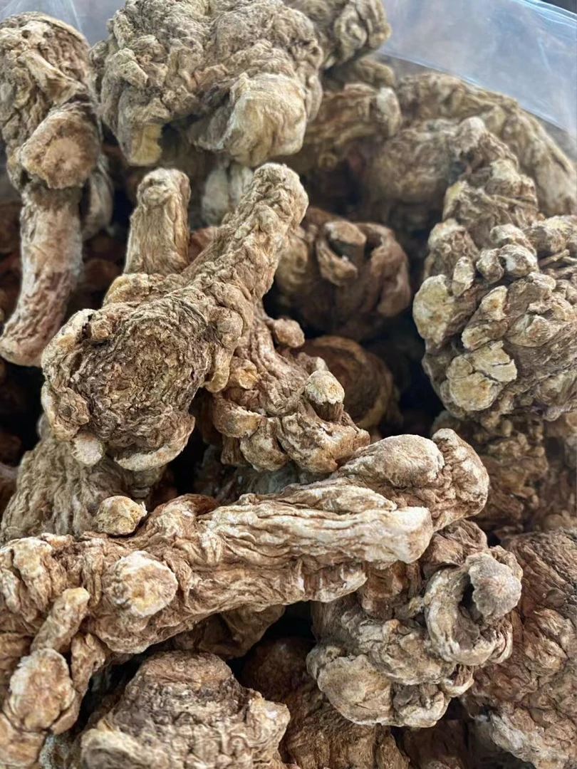 燕子专属--[当归头]