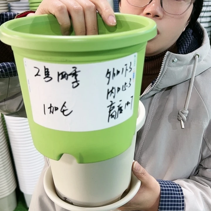 特价2号四季口17高14果绿色带托10只