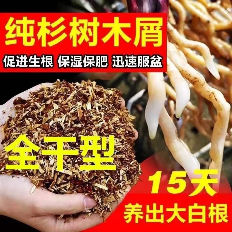 兰花种植土兰科专用植料树皮杉木颗粒植料