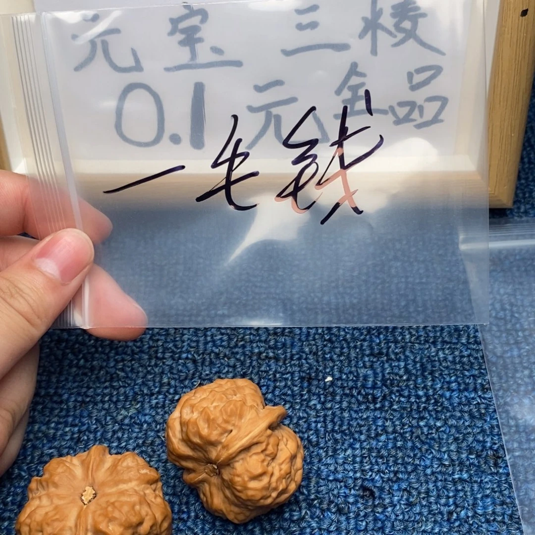 核桃哈哈哈哈哈哈哈哈哈哈哈哈哈