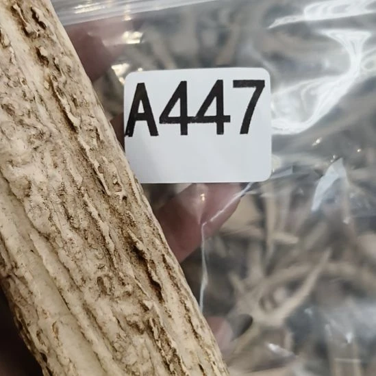 用***6鹿角鹿角鹿角鹿角鹿角