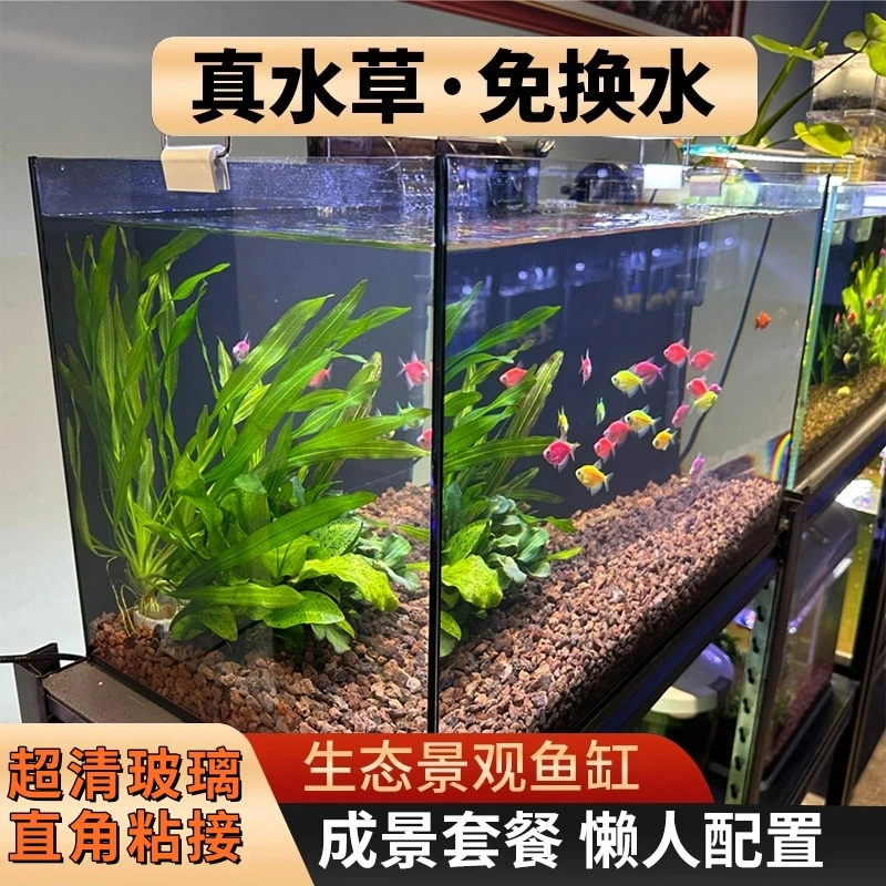 鱼缸造景全套粘接玻璃缸客厅小型桌面免换水生态草缸迷你金鱼缸