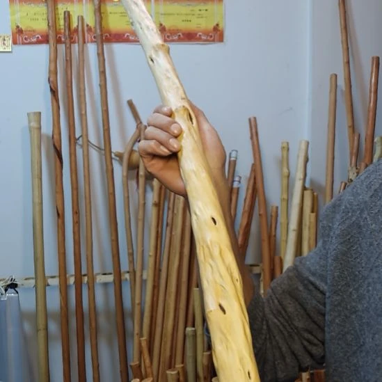 华***i秦岭石山红荀子，牛筋木