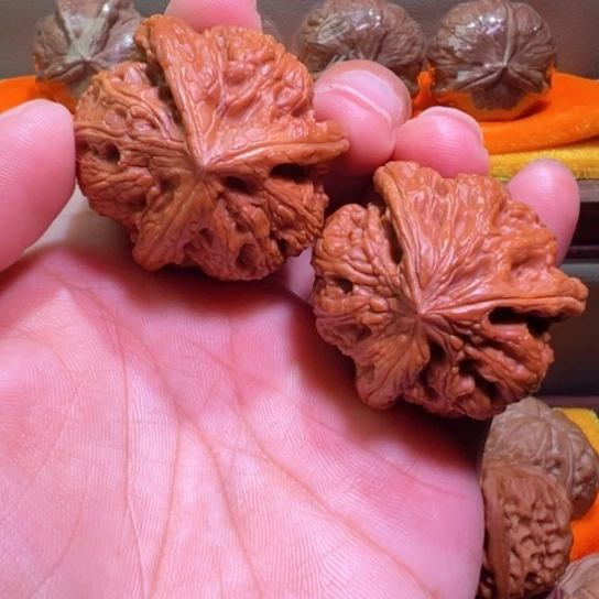 龙头大奔华北将军膀
