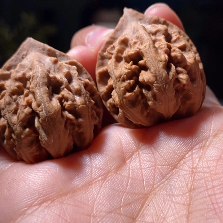 把件文玩核桃东北楸子小路 529