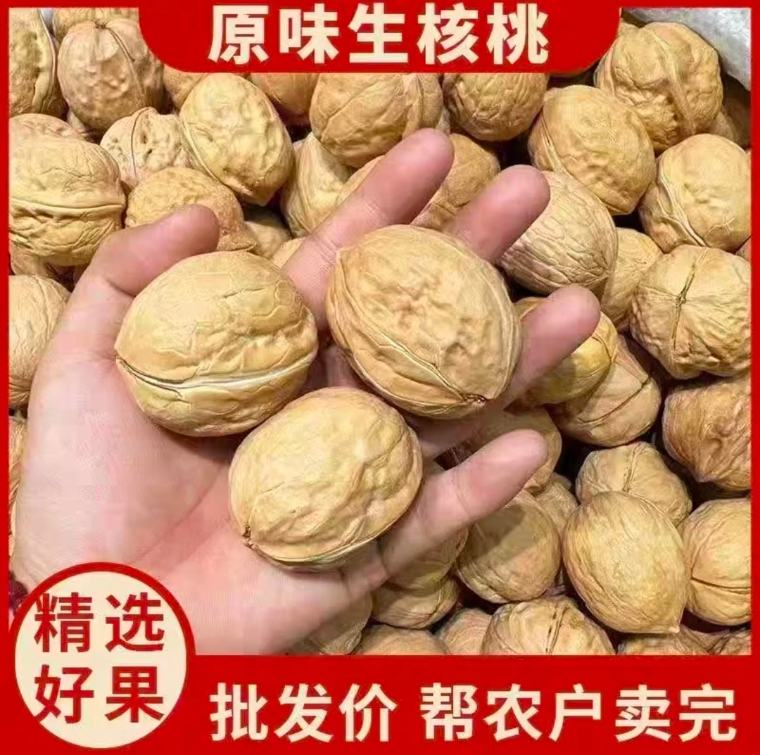 【到手两斤】新疆薄皮核桃批发坚果薄皮大核桃原味干核桃批发