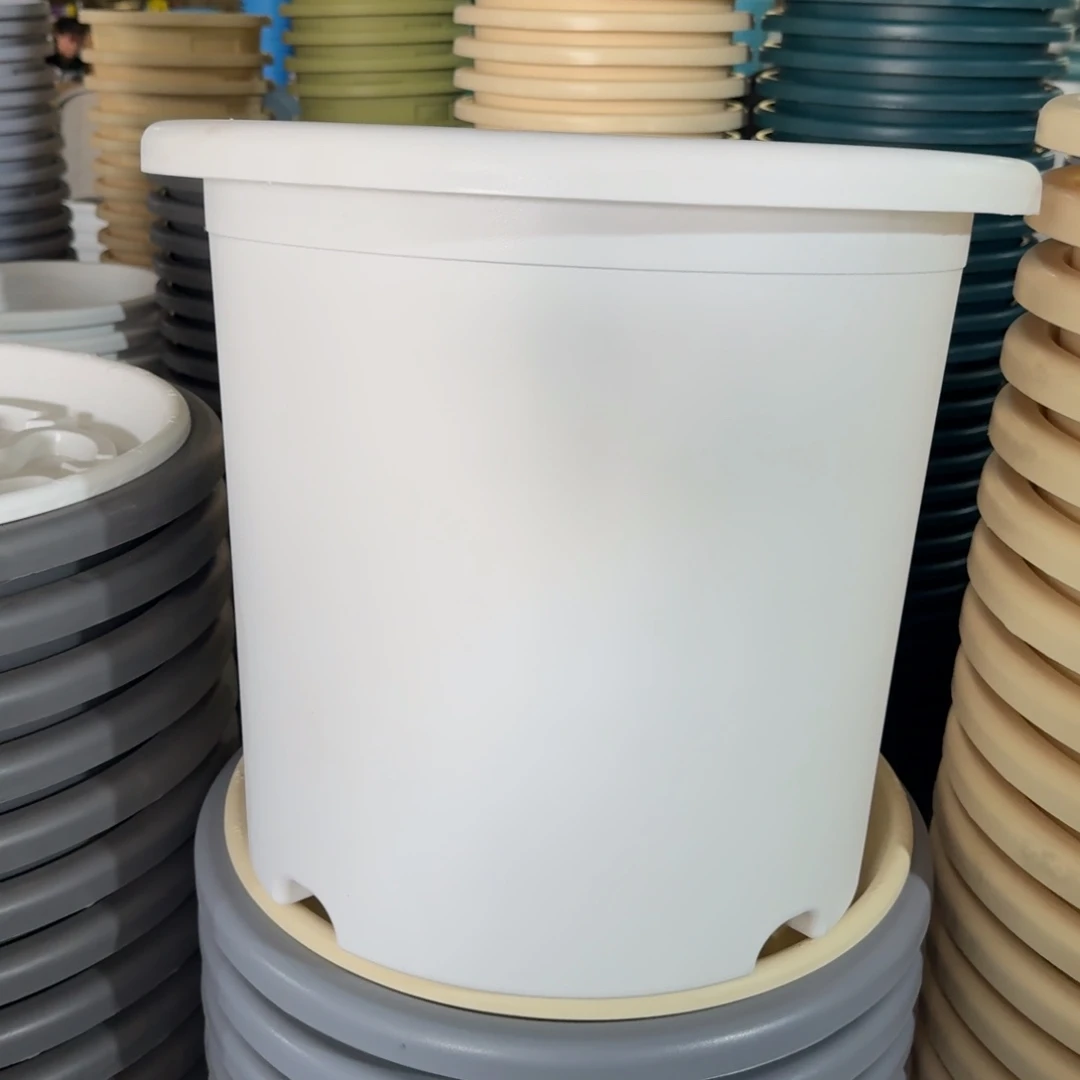 四季9#无拖纯白2个