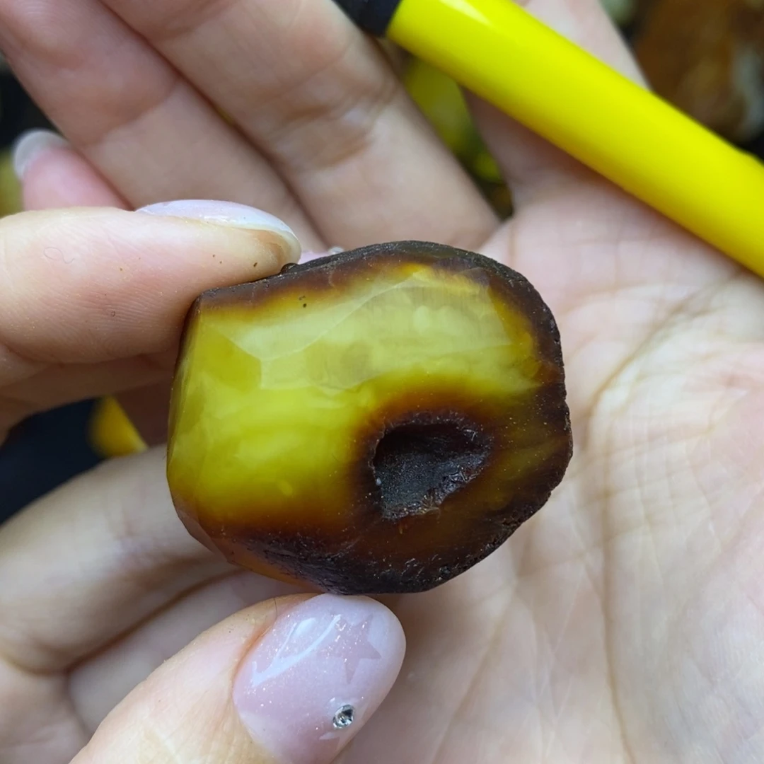 未镶嵌定制琥珀懒*阳胖