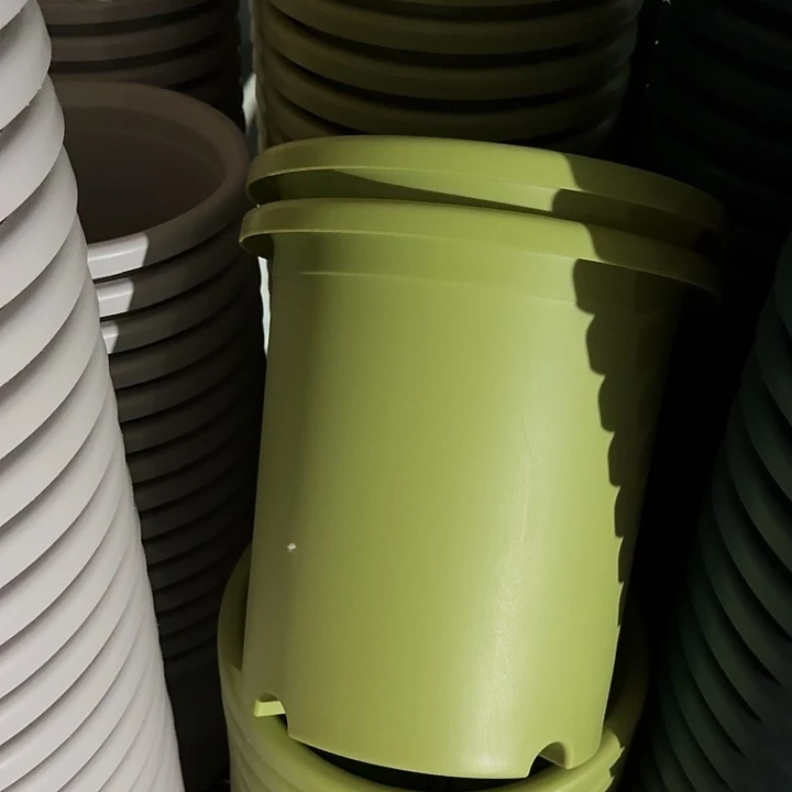 四季7号果绿无托10个特价微瑕