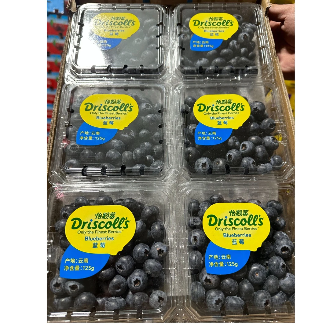 【怡颗莓】蓝莓  酸甜可口