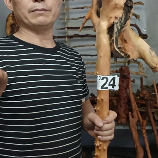 志***节香榧木高山 檬子木文玩料