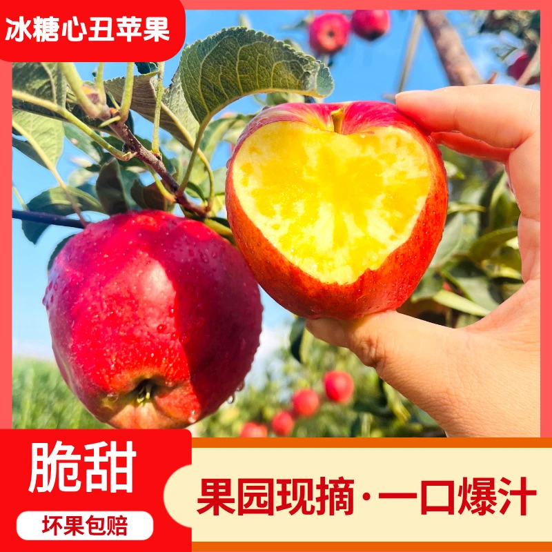 【纯甜】红露云南昭通正宗冰糖心丑苹果