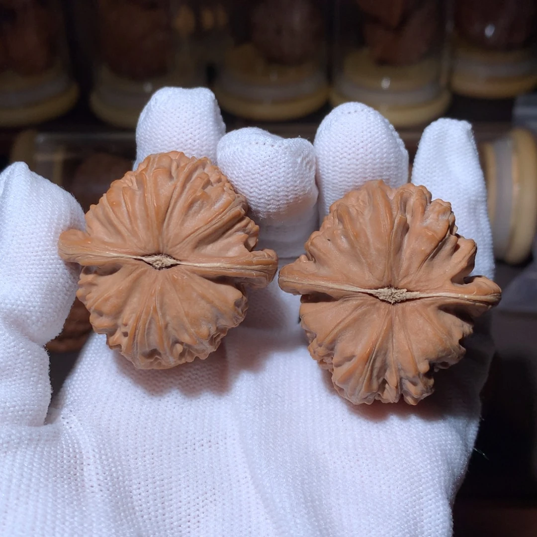 文玩核桃吊坠4山地白狮子