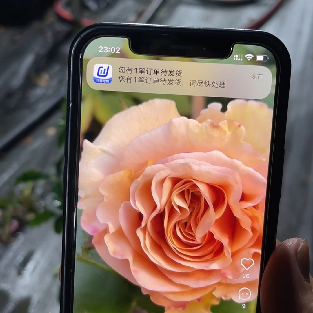 无花朵——-珍珠工艺