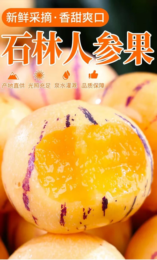 正宗云南石林树上熟果新鲜应季黄肉圆果香甜水果