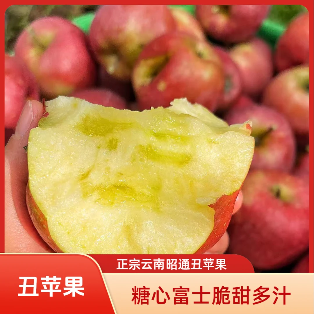 【昭通丑苹果】秋霖家云南昭通高山富士糖心丑苹果现摘现发5斤