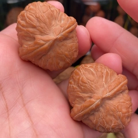 把件文玩核桃舍利子38.6全品