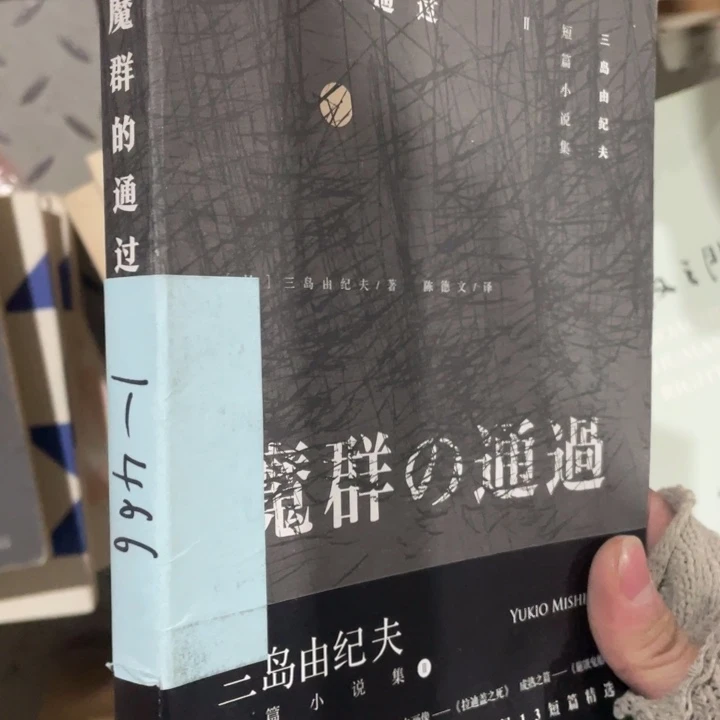 群魔的通过正版书籍