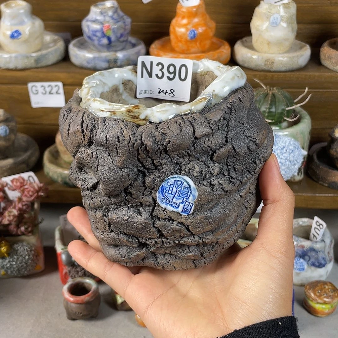 坛子姐花盆 小白孤品 内口8