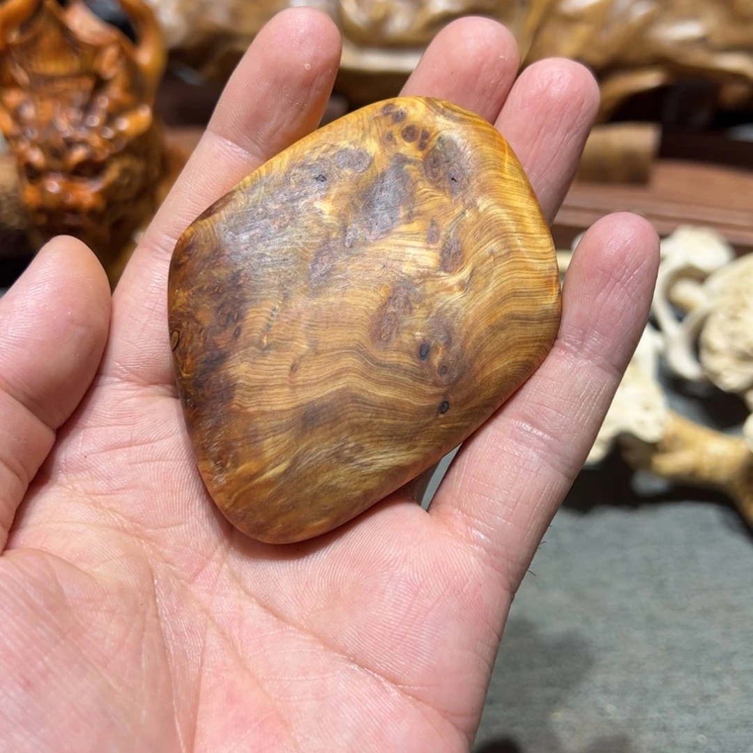 柏木（崖柏）北太行陈化崖柏