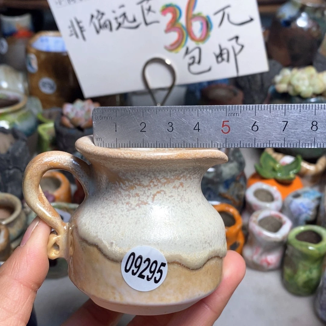 拍5送一个小礼物花盆