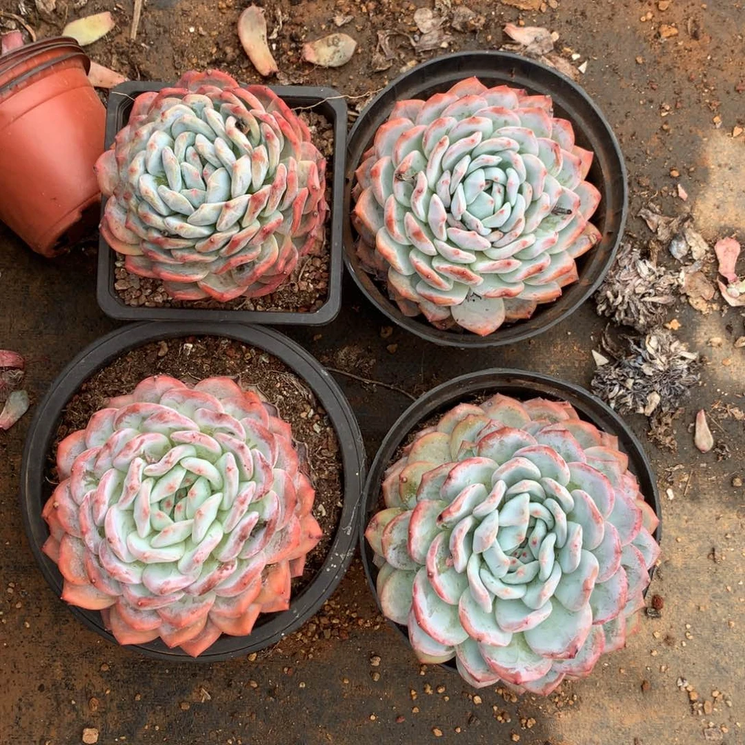 哈哈哈哈哈哈哈哈哈哈哈