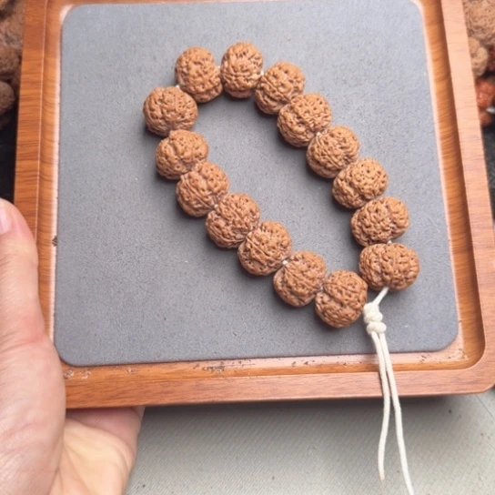 菩提11号尼泊尔大金刚21凹底梅花