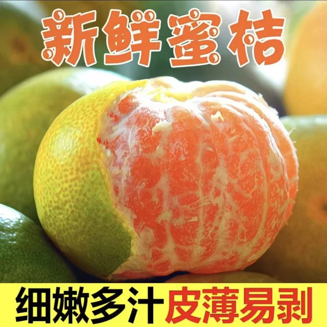 正宗高山宜昌青皮蜜桔无籽新鲜水果当季应季酸甜多汁