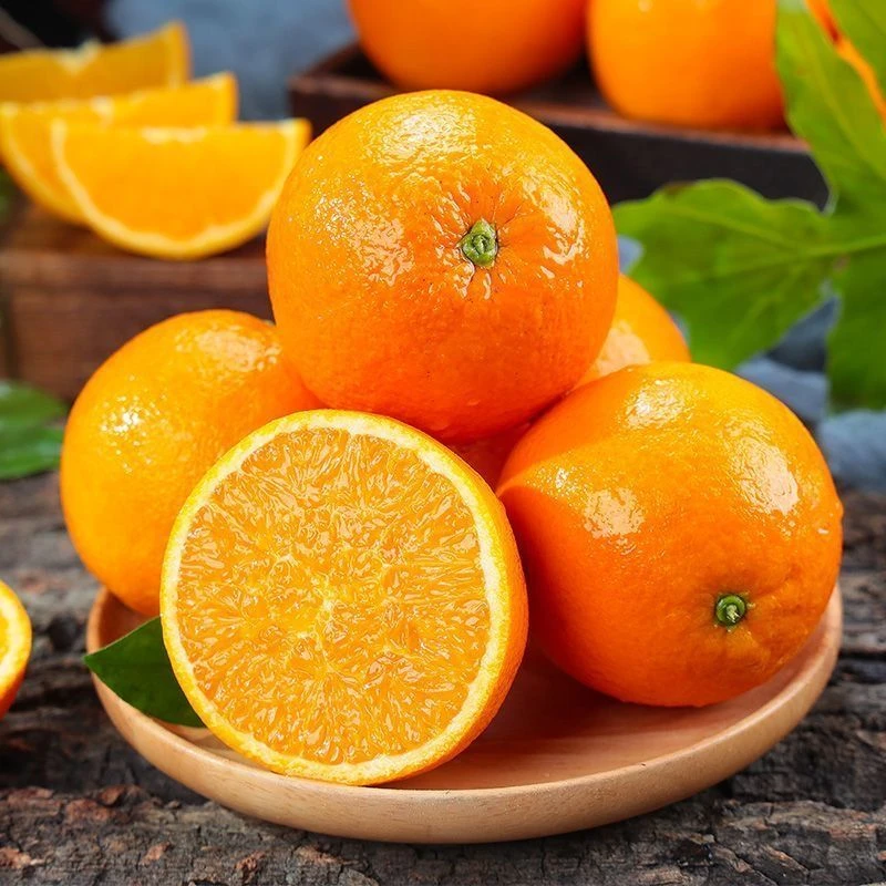 【伦晚春橙】湖北秭归脐橙当季新鲜水果4.5斤香甜多汁