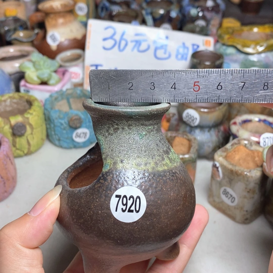 拍5送一个小礼物