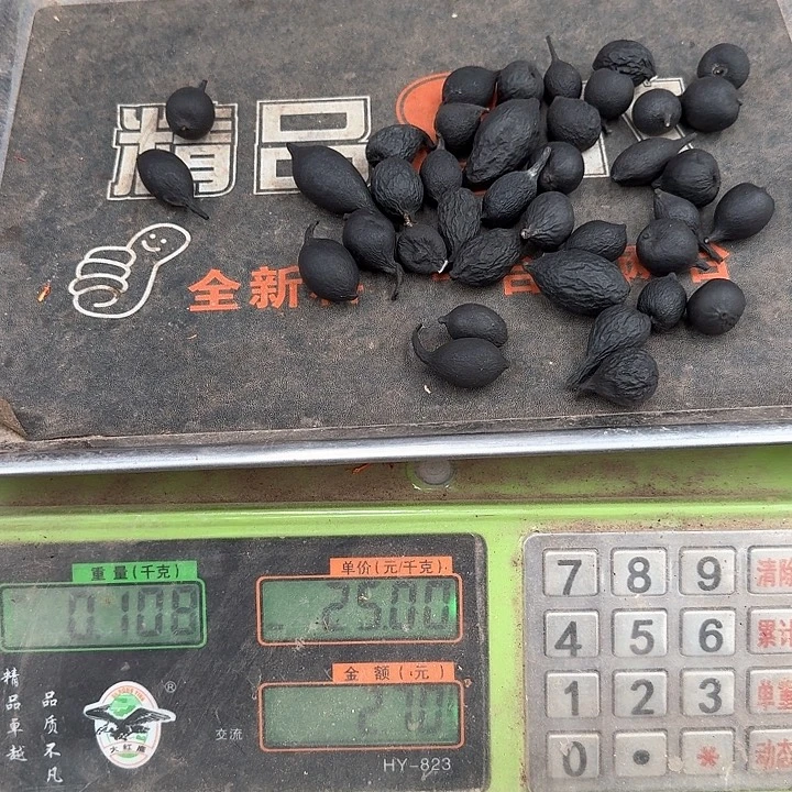 集市现称乌灵一两包邮