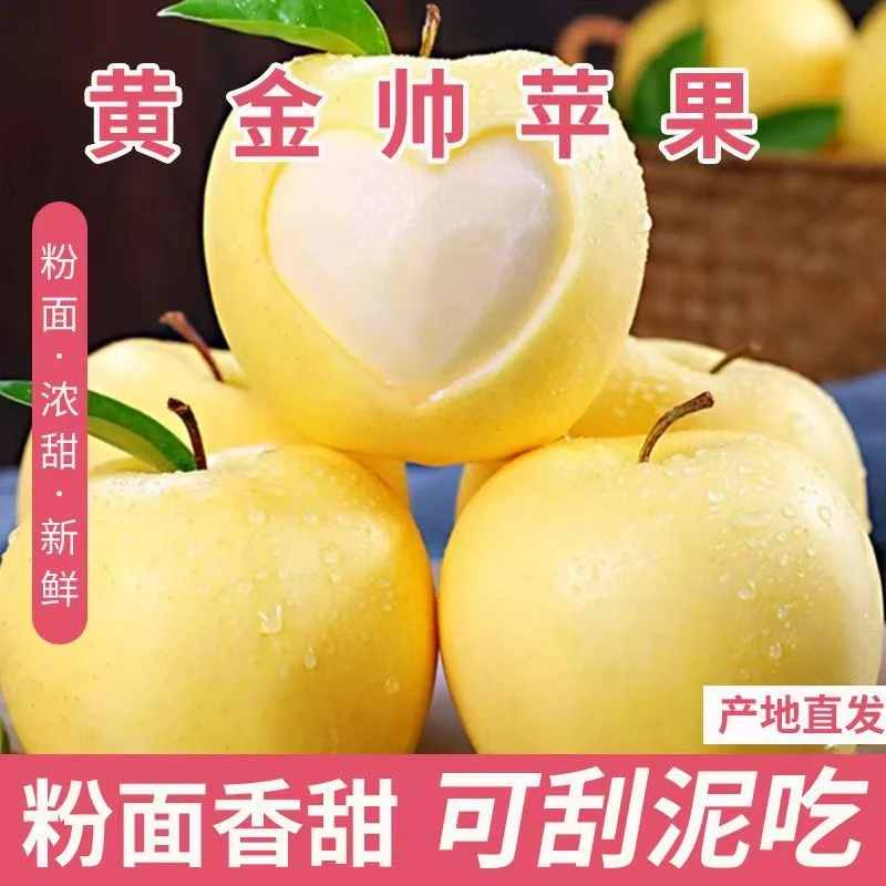 【粉面香甜】黄元帅苹果水果黄香蕉平果奶油金帅金冠萍果新鲜采摘