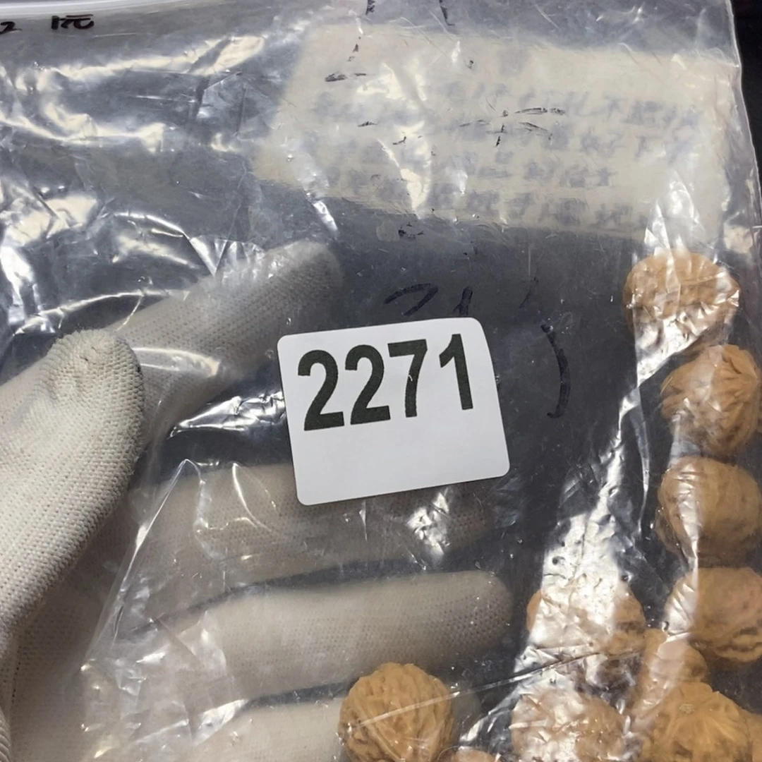 文玩核桃吊坠一****人秋子