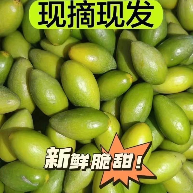 潮汕新鲜青橄榄现摘现发可生吃煲汤泡酒回甘好吃