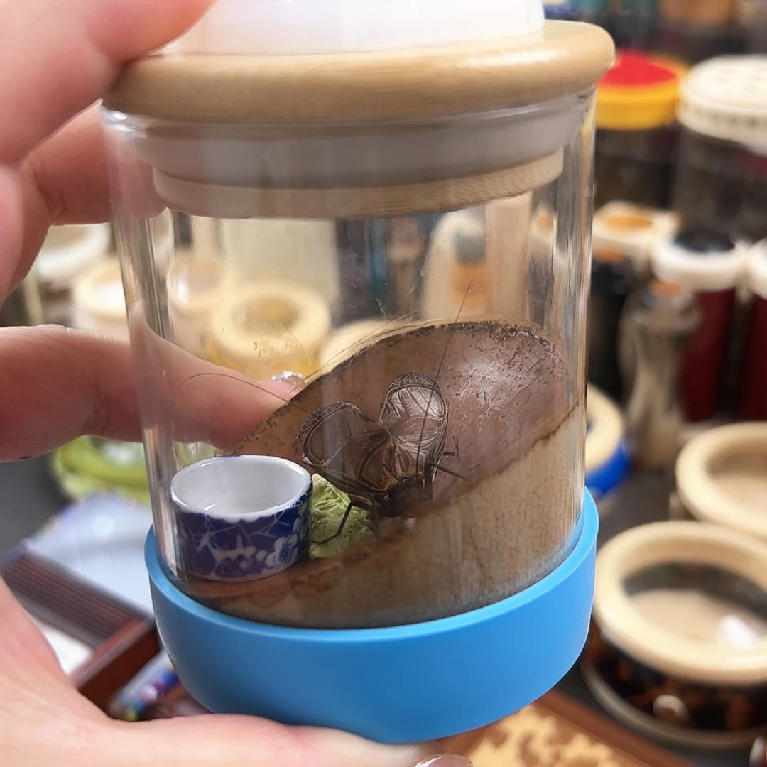 哈哈哈生态罐带麒麟