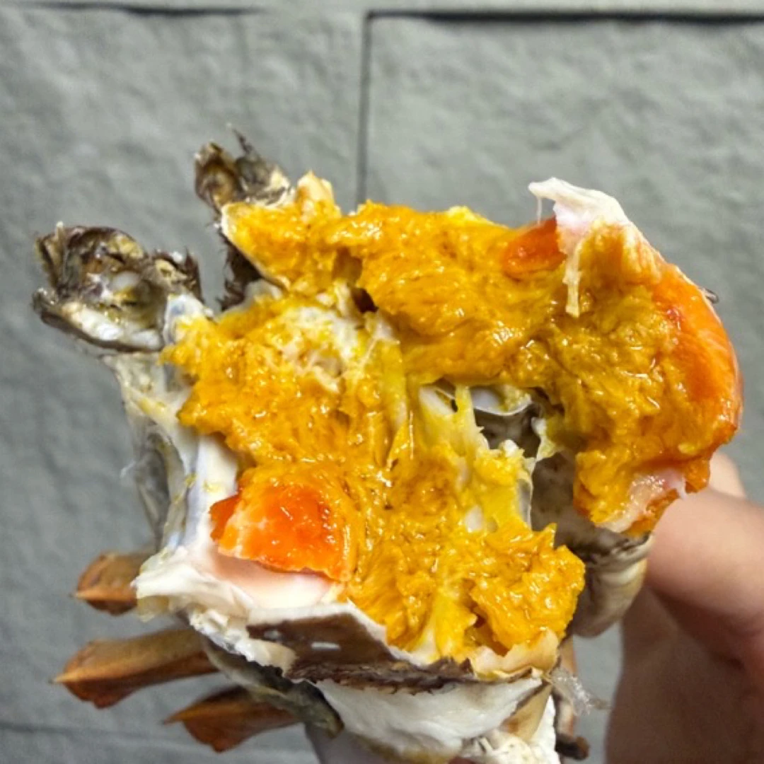 【活蟹现货】固城湖大闸蟹公母㍛0-㍝0两7-12只鲜活精品螃蟹 残