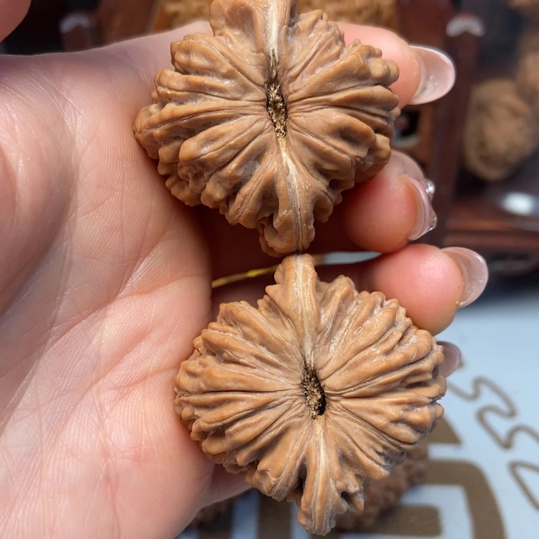 大叶紫檀（黑酸枝木类）四座楼