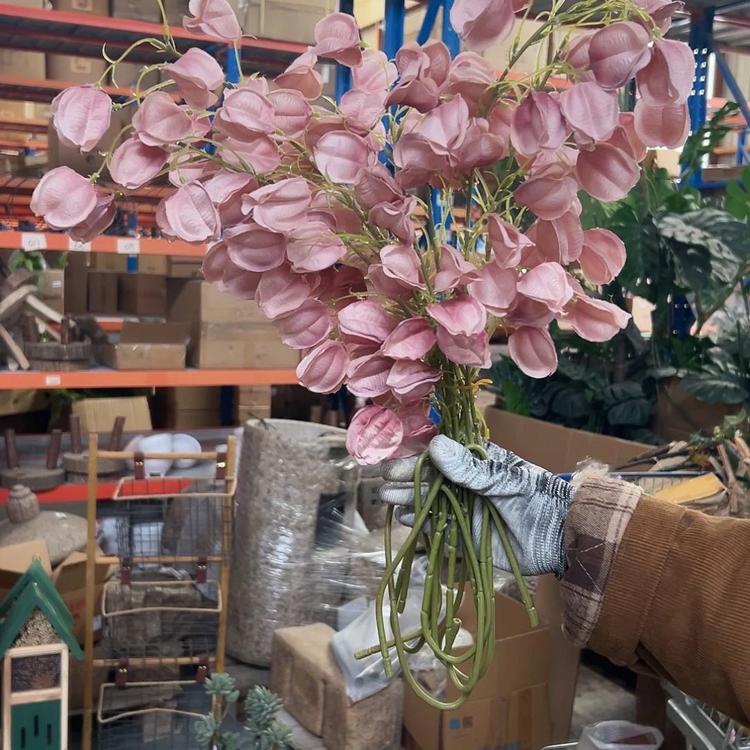 抖音直播瑕疵一把粉