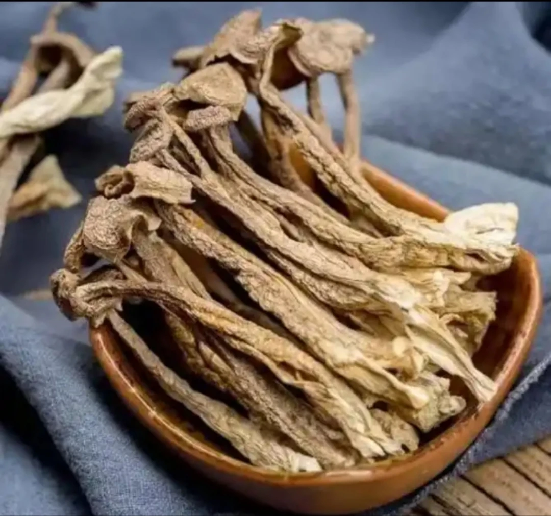 【初级农产品】云南正宗山野鹿茸菇煲汤/炒菜/凉拌美味原料食材