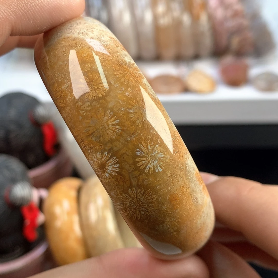 【闪购商品】硅化珊瑚（珊瑚玉）手镯未镶嵌31号圈口59.7