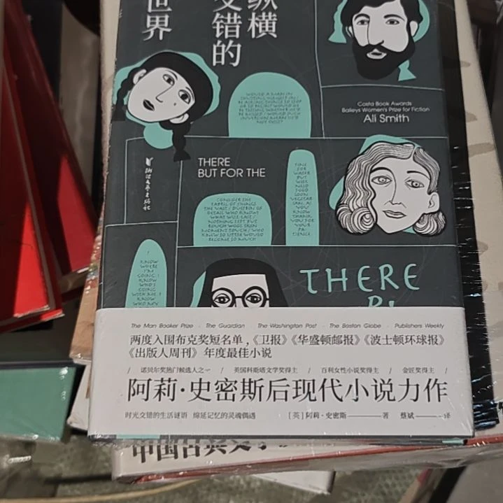 纵横交错的世界精装塑封
