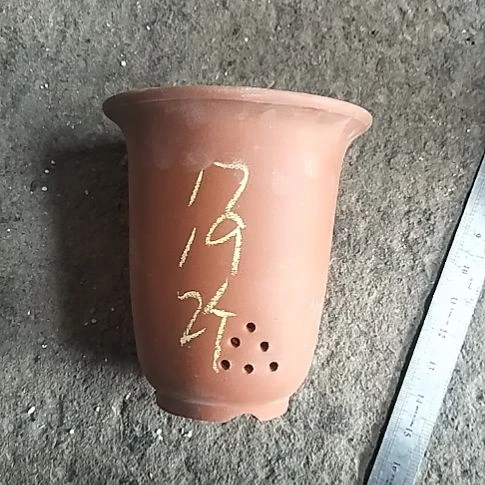 红泥小金钟两个花盆