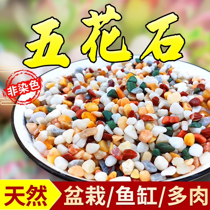 五花石鹅卵石雨花石鱼缸水族箱造景盆栽铺面石花盆栽天然砂石庭院