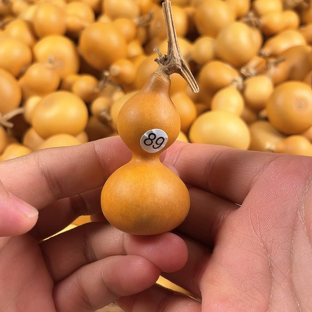 一葫芦葫芦葫芦葫芦89