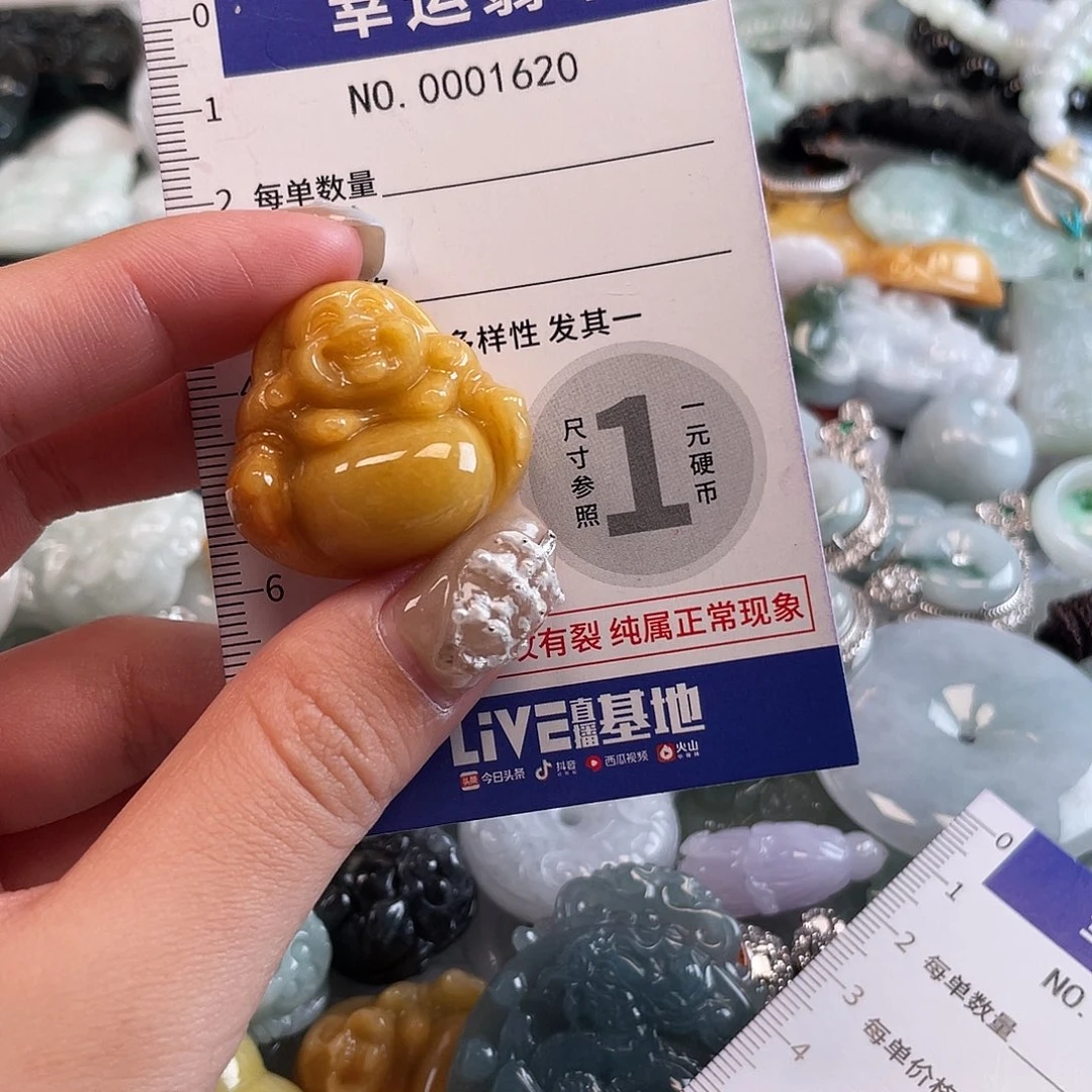 翡翠未镶嵌颈饰1620