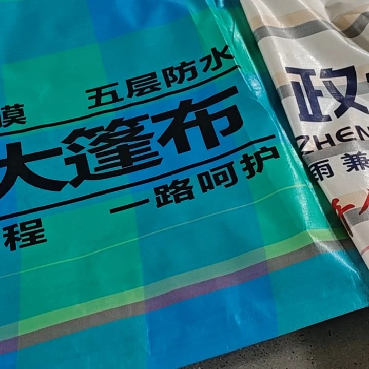 绒质666666666666666666666666666666666