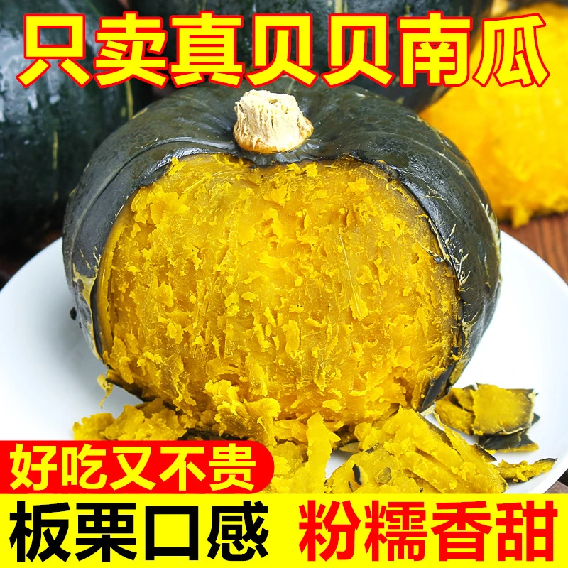 正宗真贝贝南瓜净重4.5斤小貝貝粉面香甜板栗南瓜干面老婴孕妇