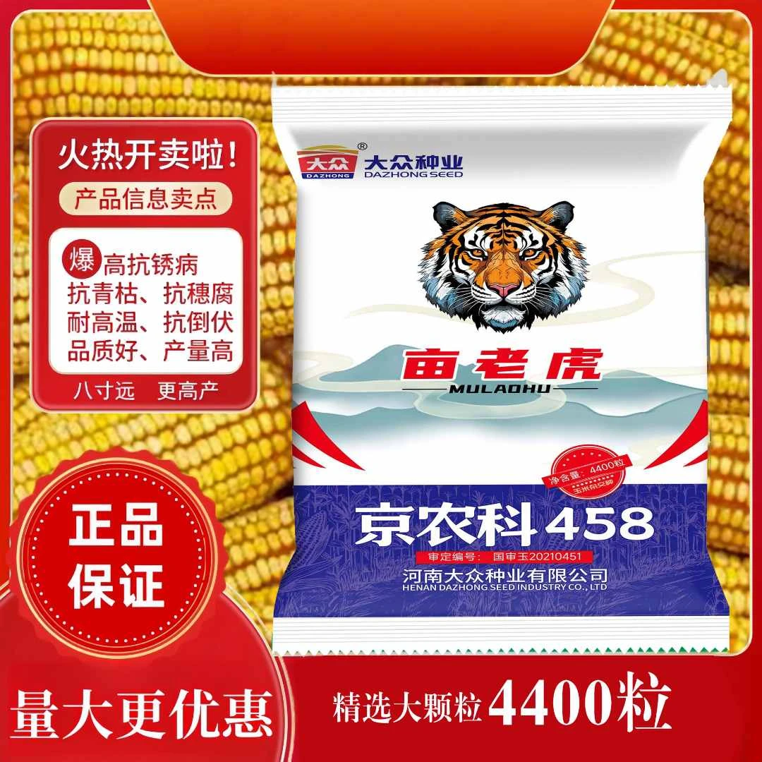 【亩老虎】京农科458国审高产玉米种耐旱抗倒抗绣病耐高温一粒封顶