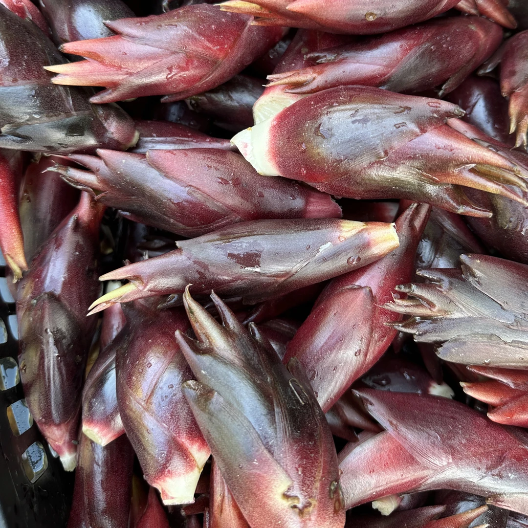 贵州特产新鲜（洋菏姜）特大果